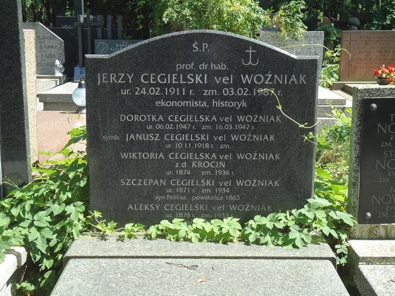 Zdjęcie grobu Szczepan Cegielski Vel Woźniak (2)