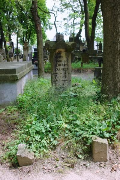 Zdjęcie grobu Emilia Zacnert (1)