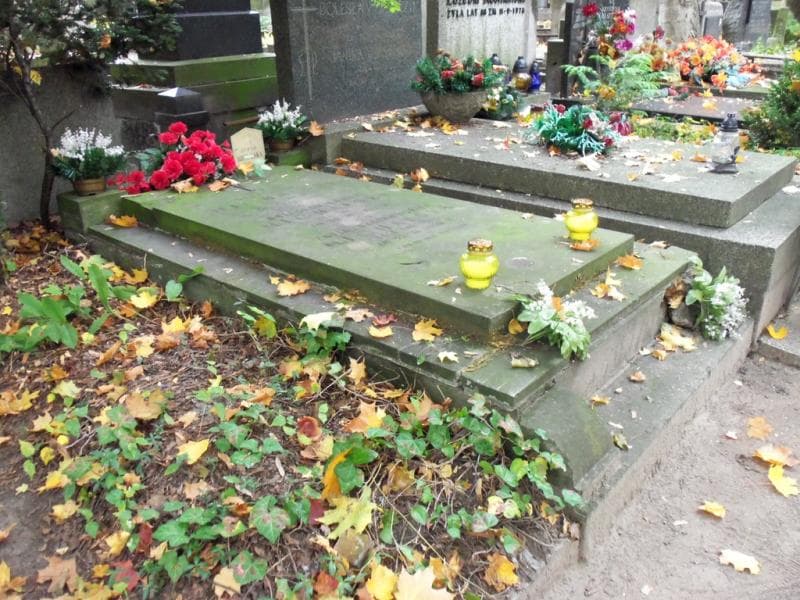 Zdjęcie grobu Stanisław Michalski (1)