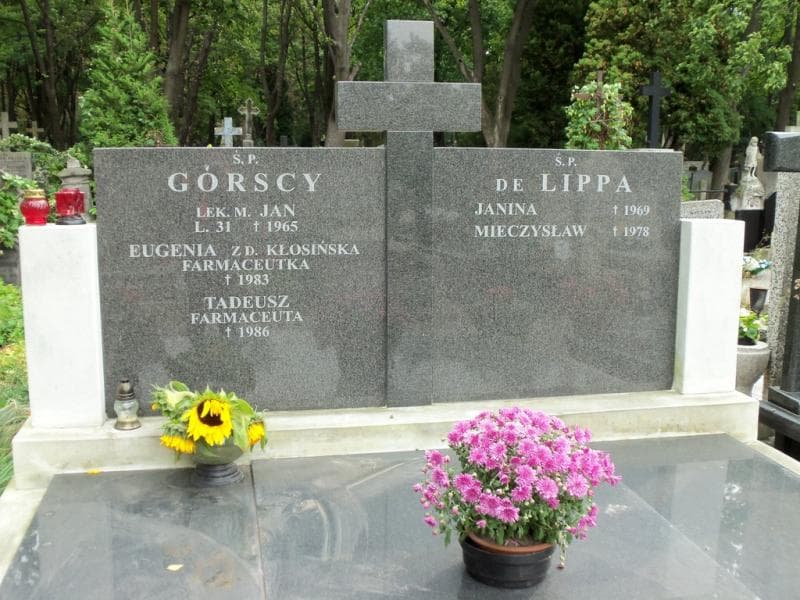 Zdjęcie grobu Jan Górski (2)