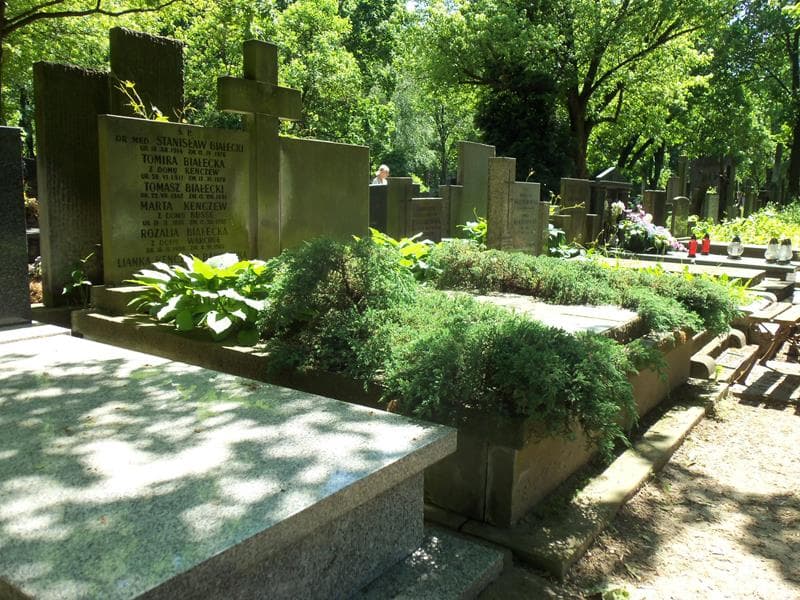 Zdjęcie grobu Stanisław Białecki (1)