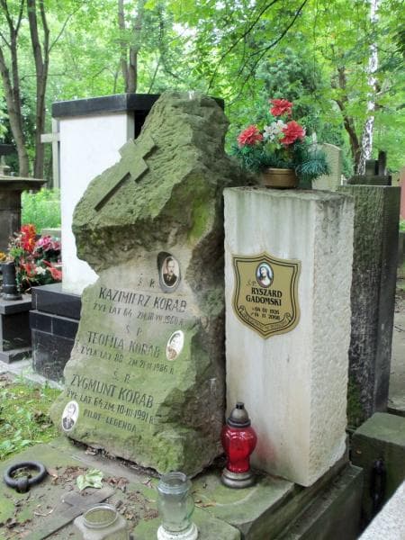 Zdjęcie grobu Seweryn Dąbrowski (2)