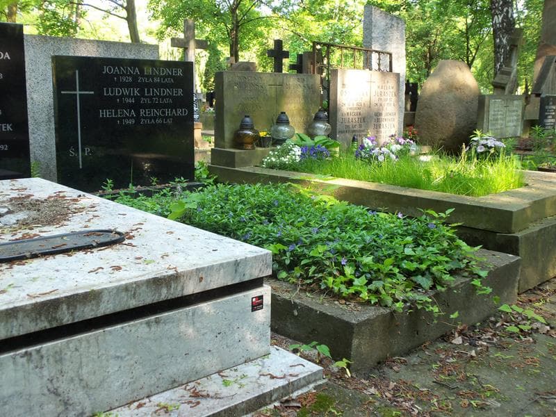 Zdjęcie grobu Ludwik Lindner (1)