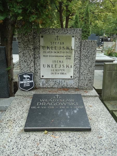 Zdjęcie grobu Władysław Drągowski (2)