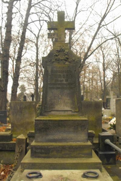 Zdjęcie grobu Henryk Turski (2)