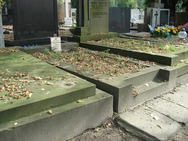 Zdjęcie grobu Aniela Trojanowska (1)