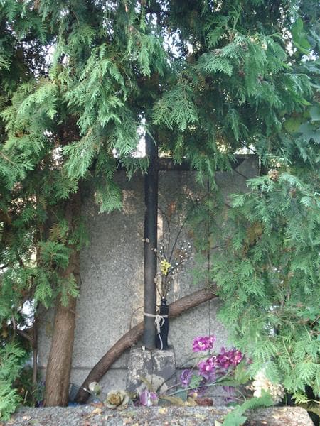 Zdjęcie grobu Adela Kozłowska (2)