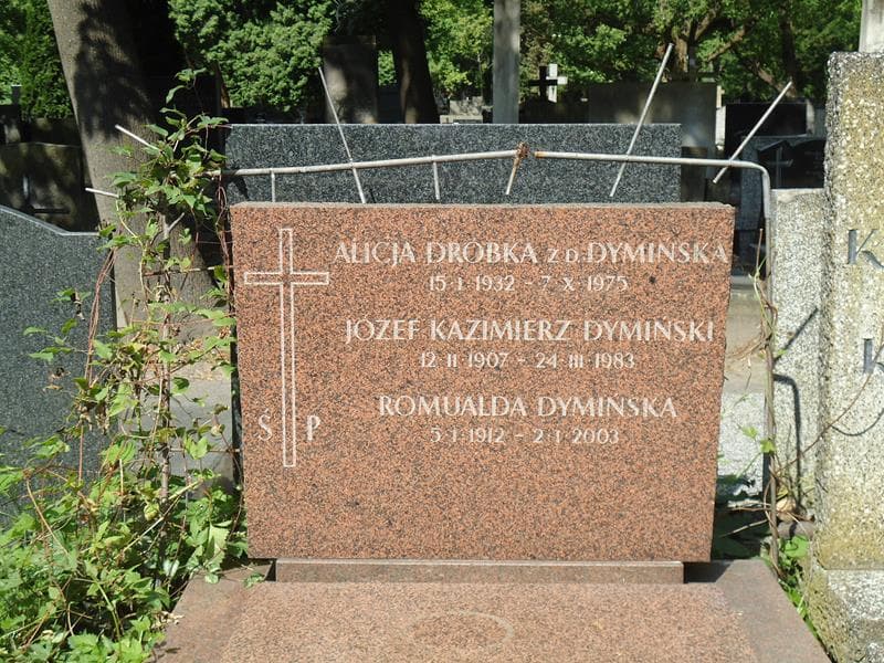 Zdjęcie grobu Alicja Dróbka (2)