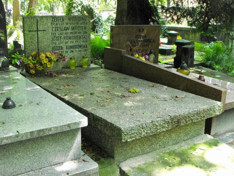 Zdjęcie grobu Czesław Wrotek (1)
