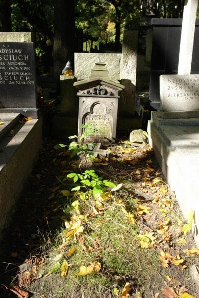 Zdjęcie grobu: Władysław Rudziński