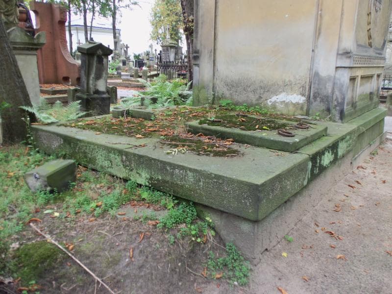 Zdjęcie grobu Bronisława Markow (1)