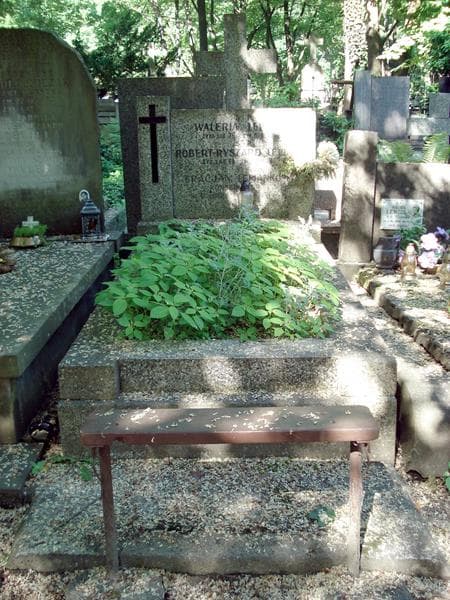 Zdjęcie grobu: Gracjan Lepianko