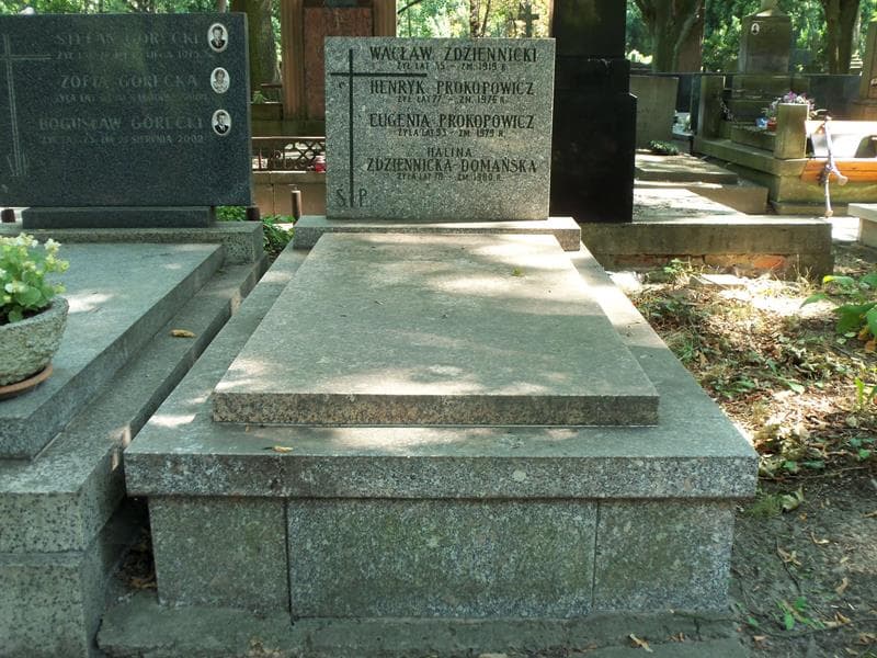 Zdjęcie grobu Eugeniusz Domański (1)