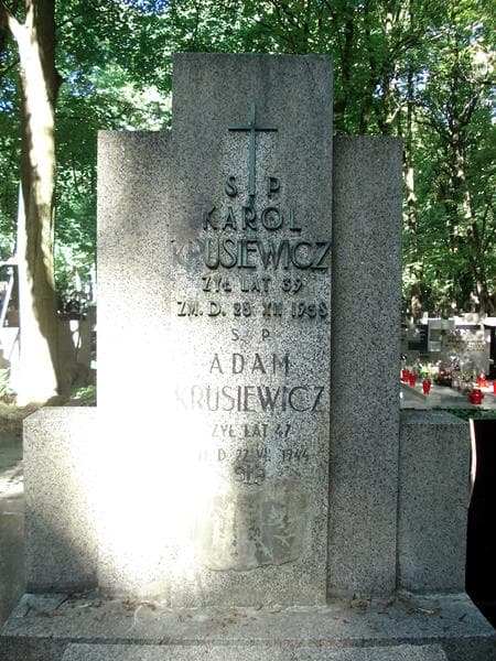 Zdjęcie grobu Olga Serczykowa (1)
