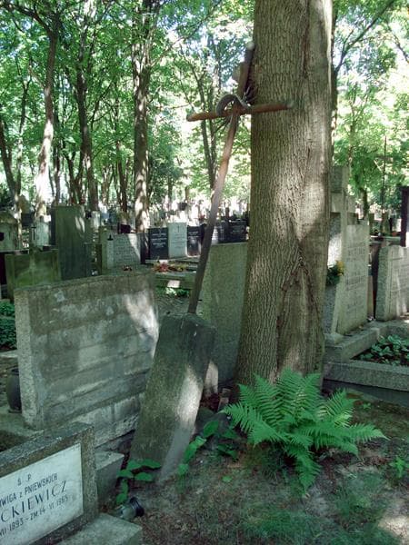 Zdjęcie grobu Anonim (1)