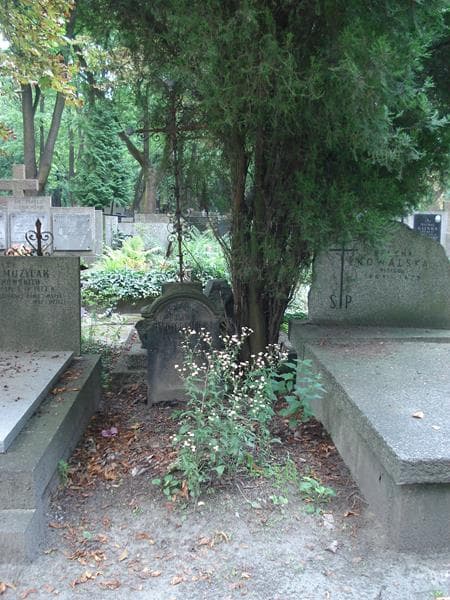 Zdjęcie grobu: Feliks Rychliński