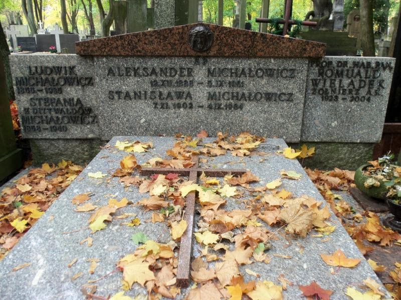 Zdjęcie grobu Ludwik Michałowicz (2)