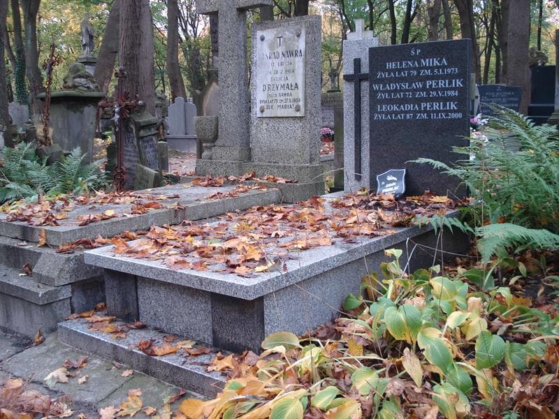 Zdjęcie grobu Władysław Perlik (1)