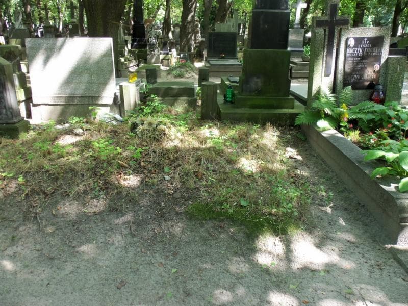 Zdjęcie grobu: Pole Grobowe