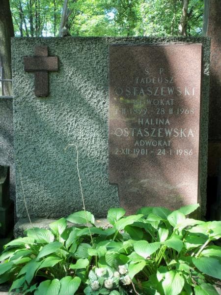 Zdjęcie grobu Halina Ostaszewska (1)