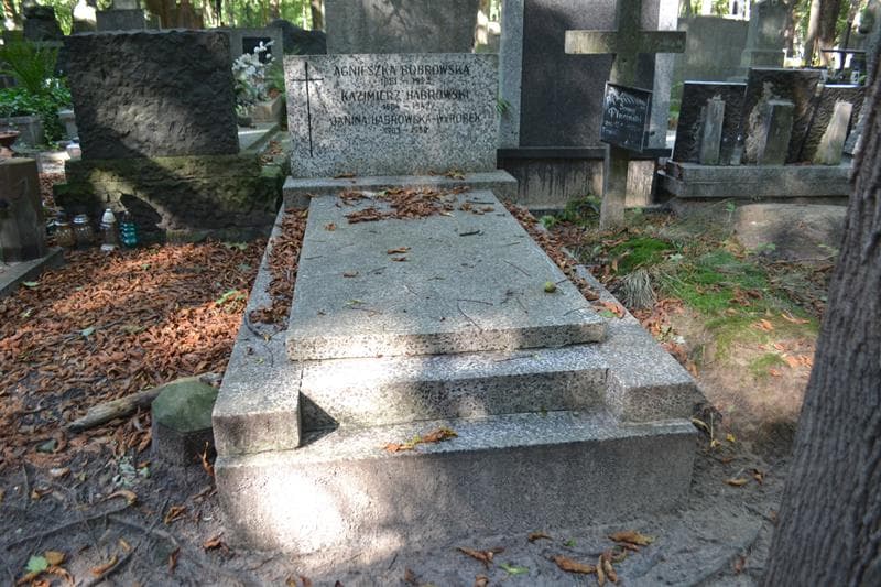 Zdjęcie grobu Kazimierz Habrowski (1)