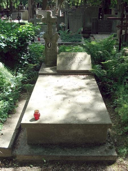 Zdjęcie grobu: Irena Jóźwiak