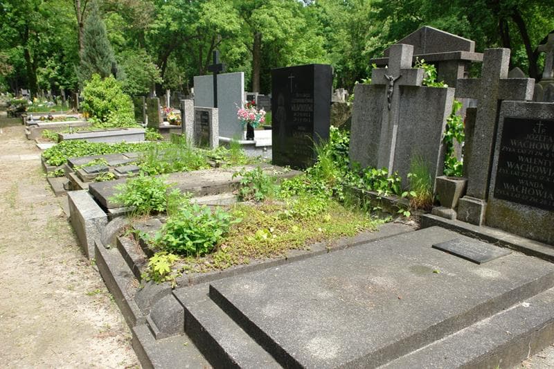 Zdjęcie grobu: Antoni Pawłowski