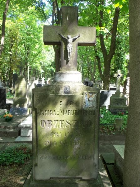 Zdjęcie grobu Zygmunt Marusieński (2)