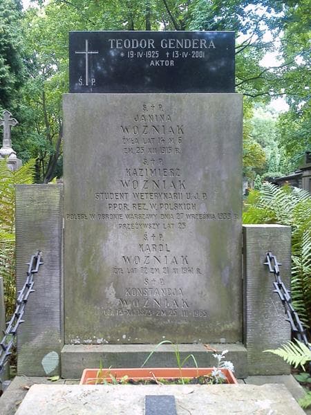 Zdjęcie grobu Kazimierz Woźniak (2)