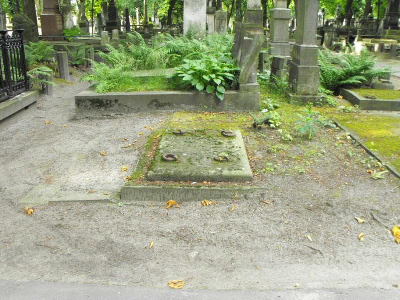 Zdjęcie grobu: Bartoszewscy
