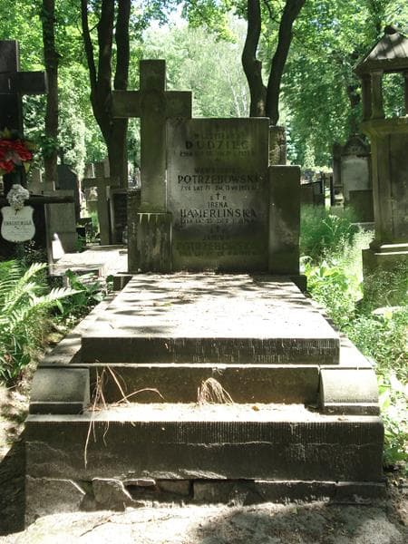 Zdjęcie grobu: Irena Hamerlińska