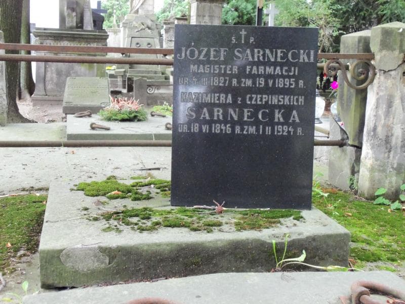 Zdjęcie grobu Michał Czepiński (2)