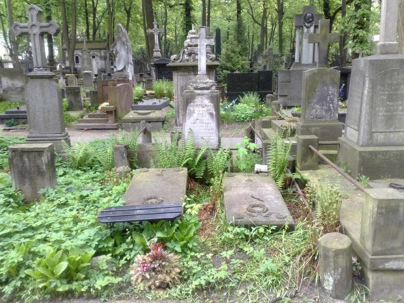 Zdjęcie grobu: Antoni Żubrowicz