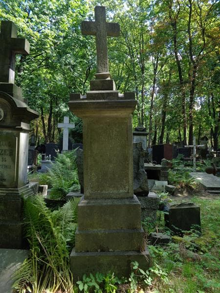 Zdjęcie grobu Ignacy Dworzyński (2)