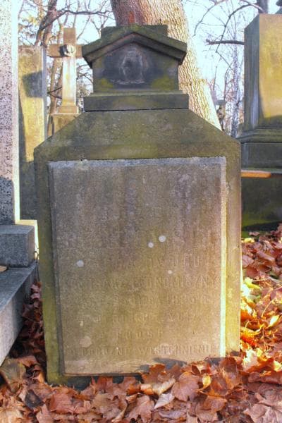 Zdjęcie grobu Józef Borkowski (2)