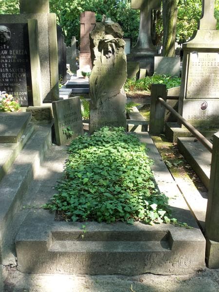 Zdjęcie grobu Szczepan Pszczółkowski (1)