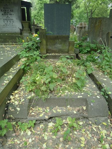 Zdjęcie grobu: Laura De Berier Longchamps