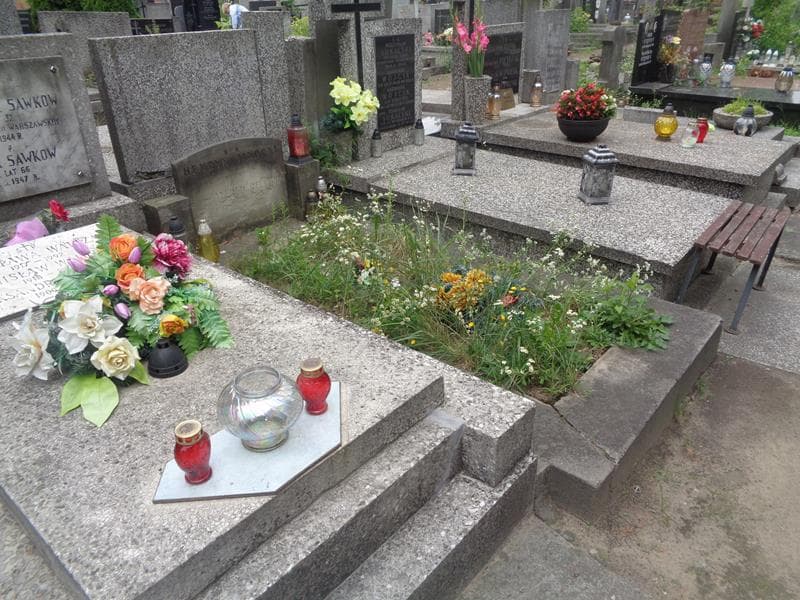 Zdjęcie grobu: Henryk Janocki