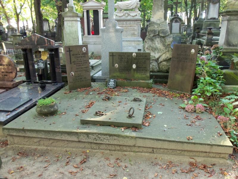 Zdjęcie grobu: Henryka Czajewska