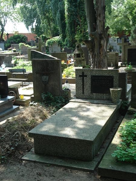 Zdjęcie grobu Stanisław Uzdowski (1)