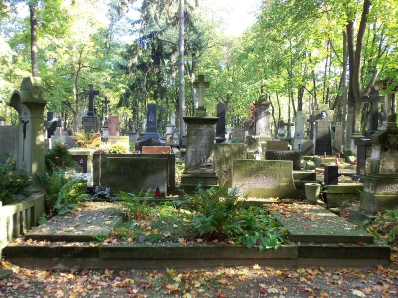 Zdjęcie grobu: Edward Janiszewski