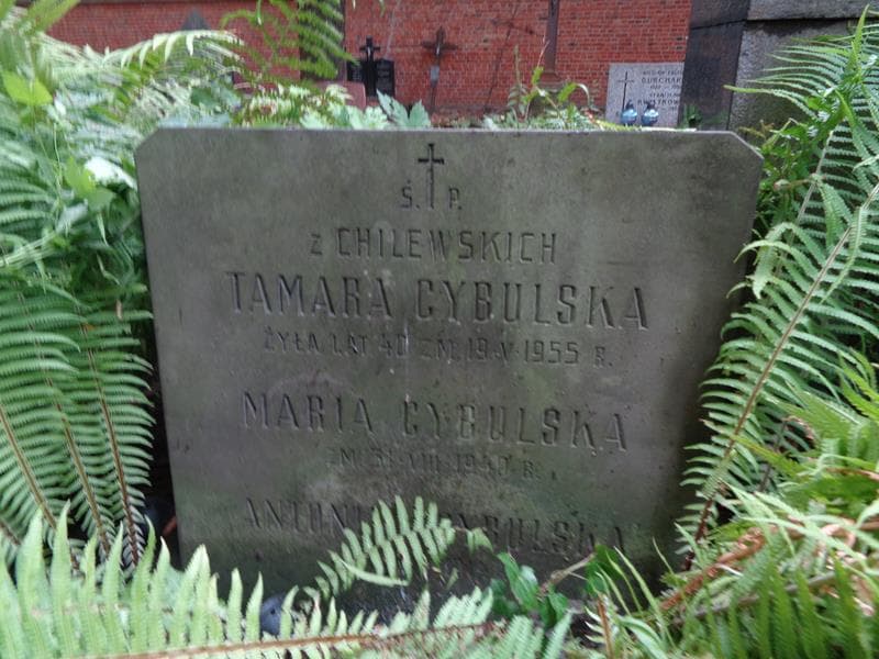 Zdjęcie grobu Maria Cybulska (2)