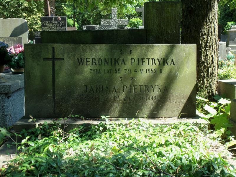 Zdjęcie grobu Janina Pietryka (2)