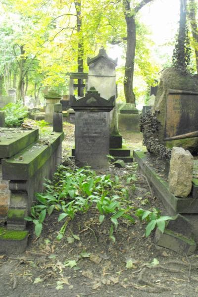 Zdjęcie grobu: Emilia Leszczyńska