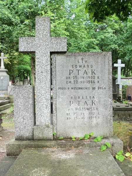 Zdjęcie grobu Aurelia Ptak (2)