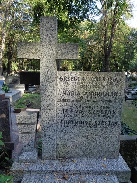Zdjęcie grobu Maria Ambroziak (2)