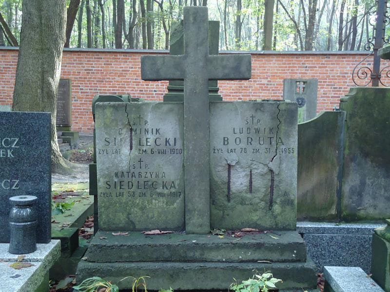 Zdjęcie grobu Ludwik Boruta (2)