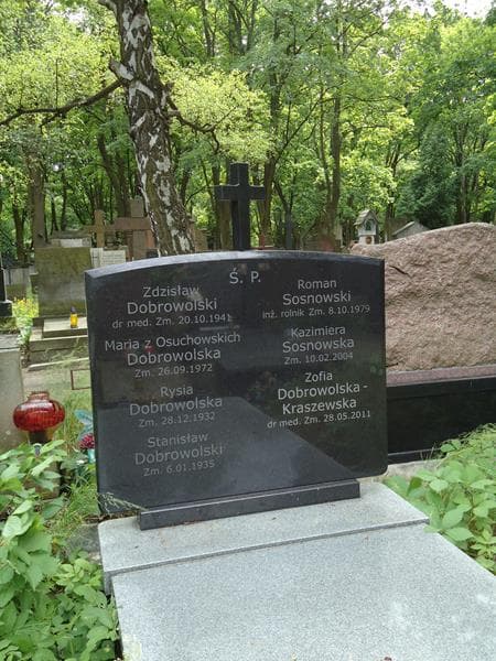 Zdjęcie grobu Rysia Dobrowolska (2)