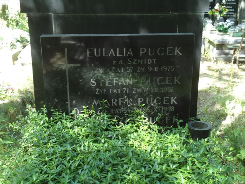 Zdjęcie grobu Marek Pucek (2)