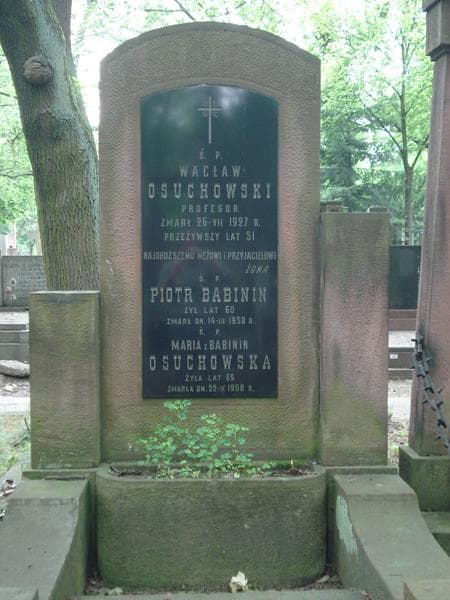 Zdjęcie grobu Piotr Babinin (2)